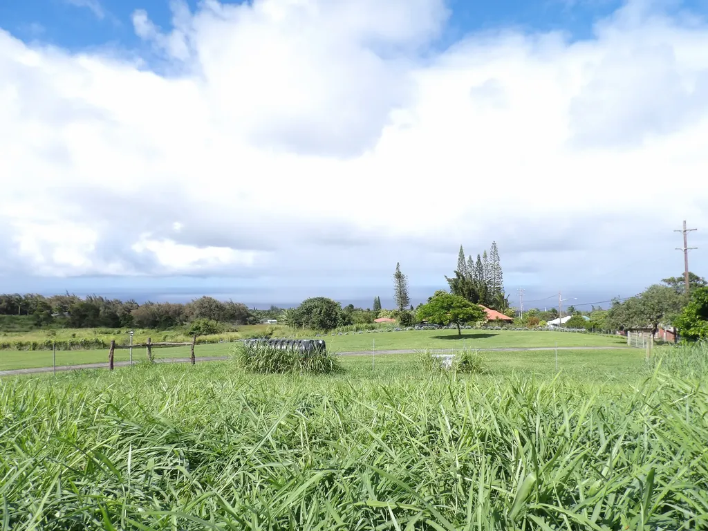 54-2337 Kynnersley Road Kapaau HI 96755