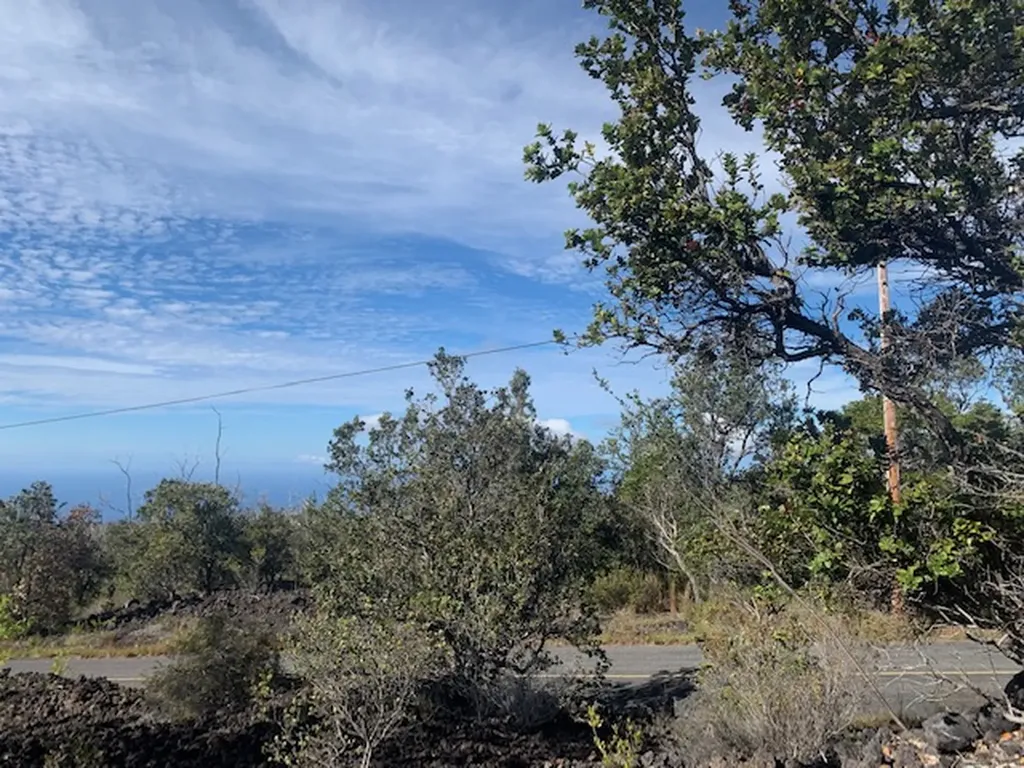 Bamboo Lane Ocean View HI 96737