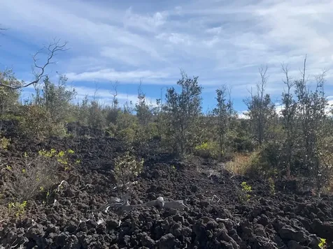 Bamboo Lane Ocean View HI 96737