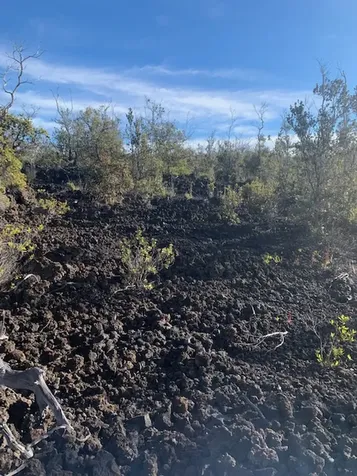 Bamboo Lane Ocean View HI 96737