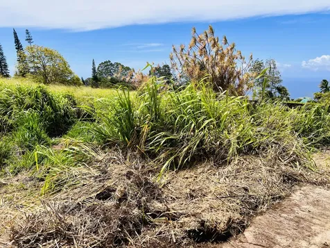 35-194 Papaaloa Road Laupahoehoe HI 96764