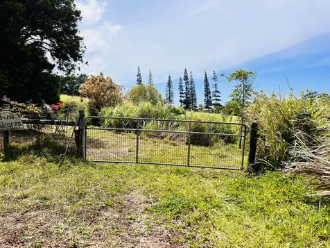 35-194 Papaaloa Road Laupahoehoe HI 96764