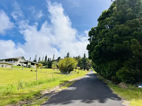 35-194 Papaaloa Road Laupahoehoe HI 96764