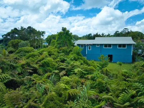 15-1616 Akeakamai Loop Pahoa HI 96778