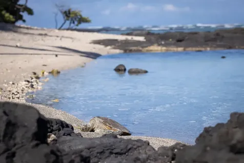 69-1873 Puako Beach Drive Kamuela HI 96743