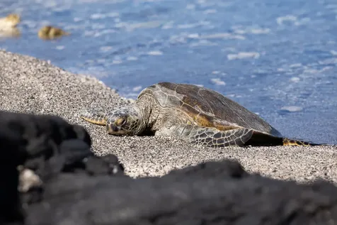 69-1873 Puako Beach Drive Kamuela HI 96743