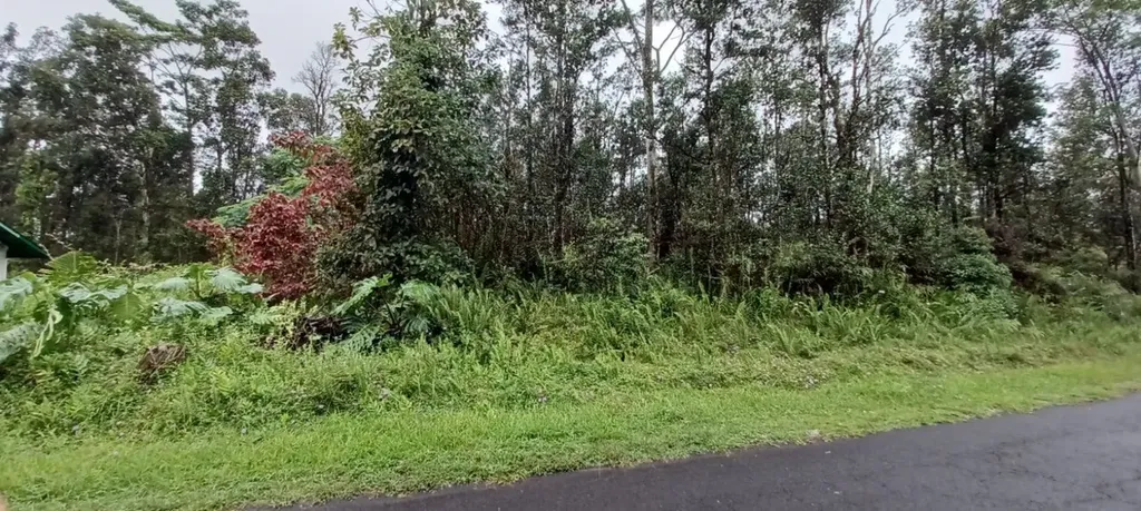 Hapuu Road Pahoa HI 96778