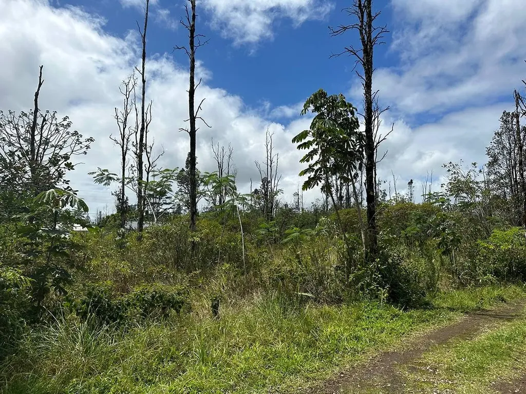 King Kamehameha Boulevard Keaau HI 96749