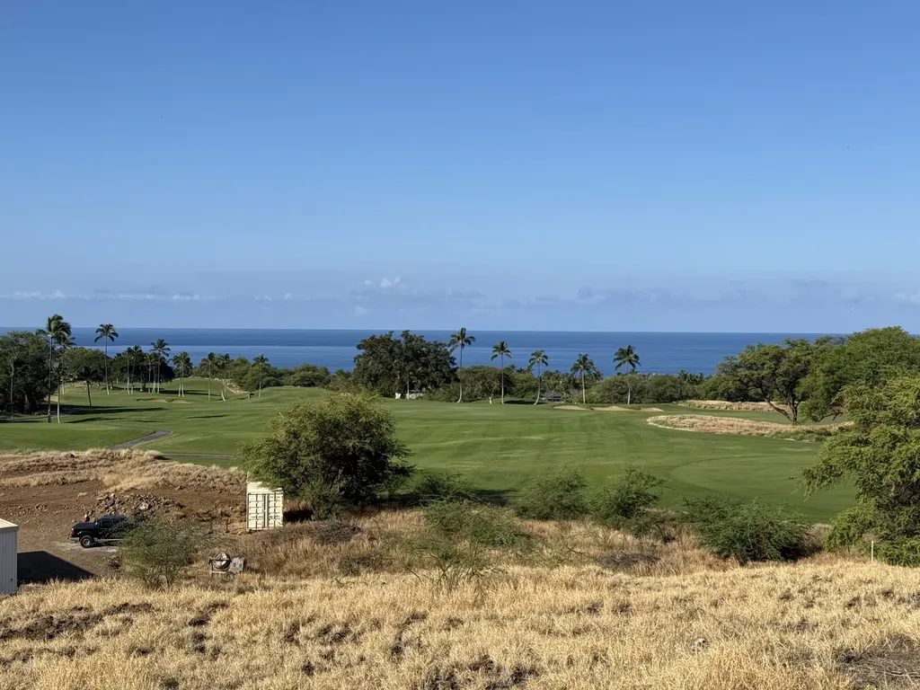 Kaunaoa Place Kamuela HI 96743
