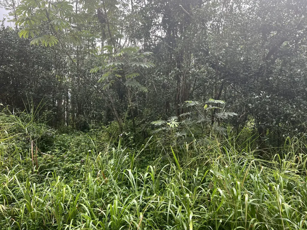 Pakalana Road Pahoa HI 96778