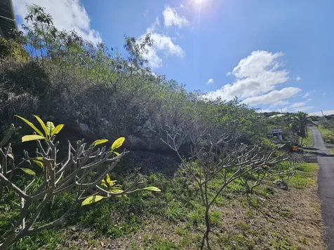 Fern Road Captain Cook HI 96704