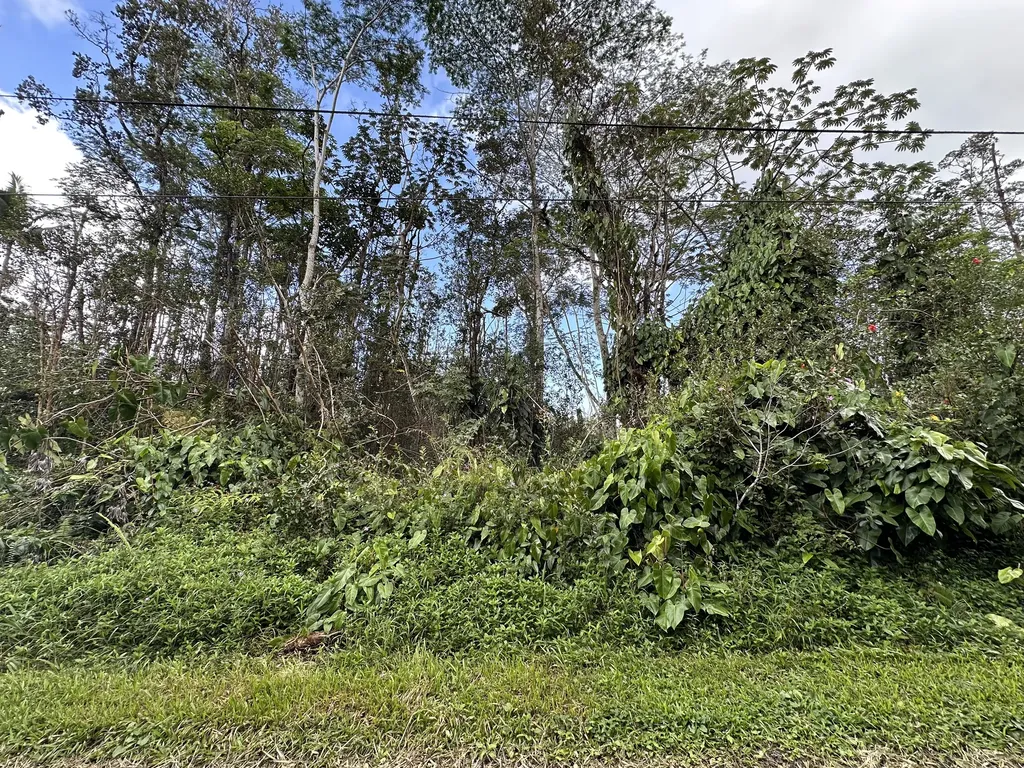 Lanai Road Pahoa HI 96778