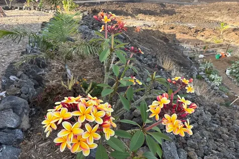 92-795 Hokulani Boulevard Ocean View HI 96737