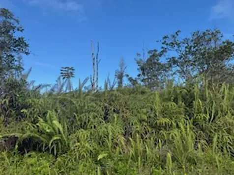 Kehaulani Street Keaau HI 96749