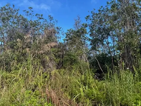 Kehaulani Street Keaau HI 96749