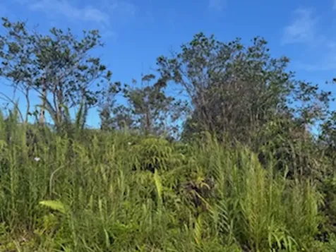 Kehaulani Street Keaau HI 96749