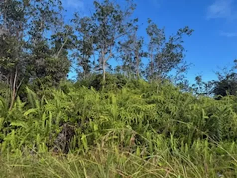 Kehaulani Street Keaau HI 96749