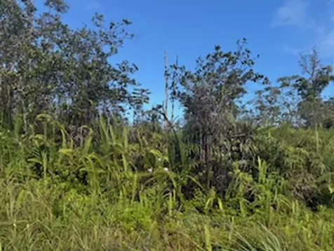 Kehaulani Street Keaau HI 96749