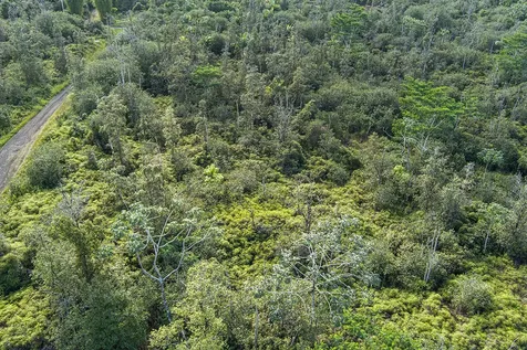 Kehaulani Street Keaau HI 96749