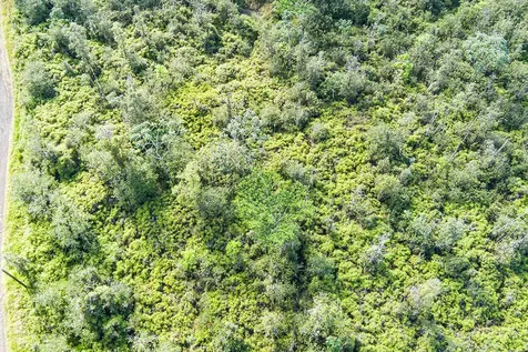 Kehaulani Street Keaau HI 96749