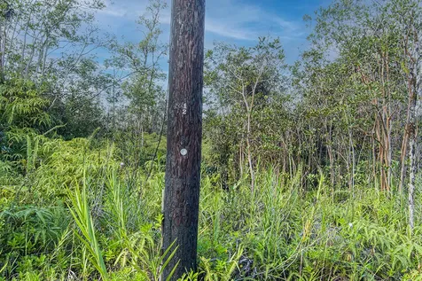 Kehaulani Street Keaau HI 96749