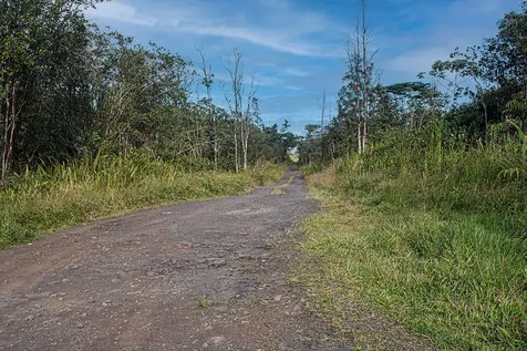 Kehaulani Street Keaau HI 96749