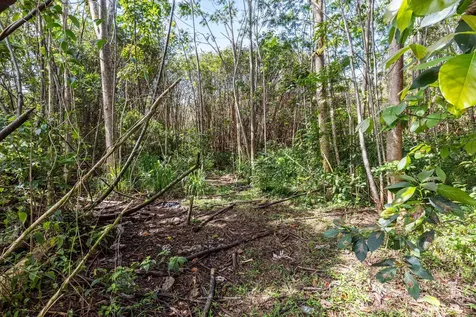 Ainalako Road Hilo HI 96720