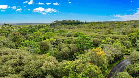 Ainalako Road Hilo HI 96720