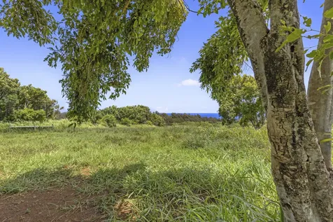 53-338 Kapanaia Road Kapaau HI 96755