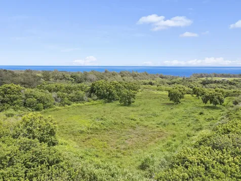 53-338 Kapanaia Road Kapaau HI 96755