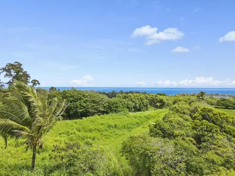 53-338 Kapanaia Road Kapaau HI 96755