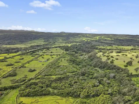 53-338 Kapanaia Road Kapaau HI 96755