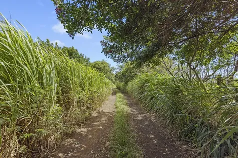 53-338 Kapanaia Road Kapaau HI 96755