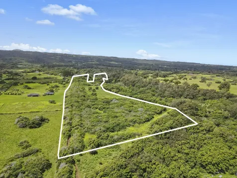 53-338 Kapanaia Road Kapaau HI 96755