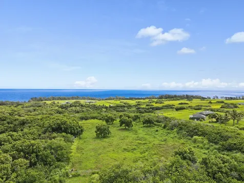 53-338 Kapanaia Road Kapaau HI 96755