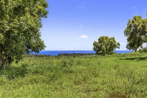 53-338 Kapanaia Road Kapaau HI 96755