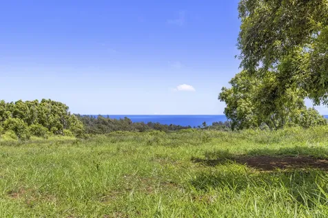 53-338 Kapanaia Road Kapaau HI 96755