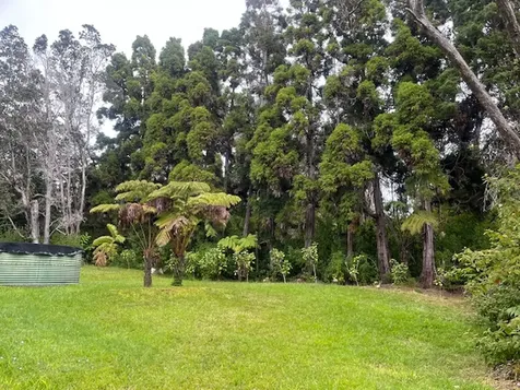 19-4142 Haunani Road Volcano HI 96785