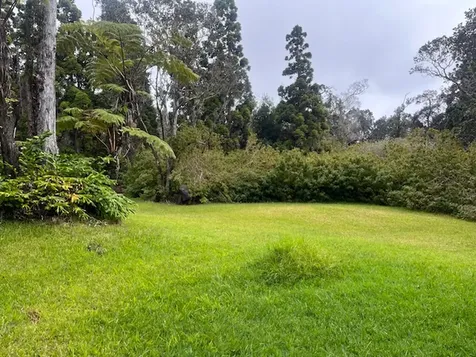 19-4142 Haunani Road Volcano HI 96785