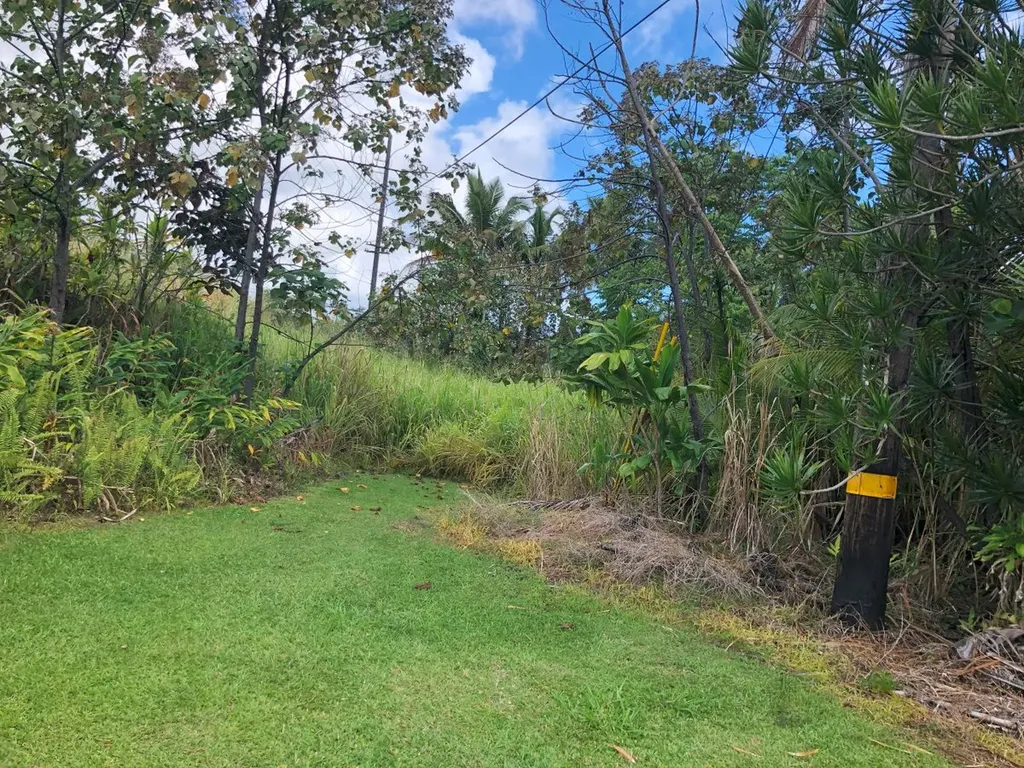 29th Avenue Keaau HI 96749