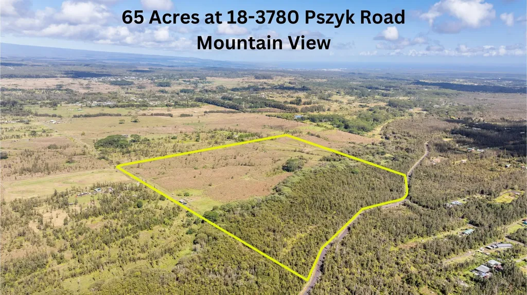 18-3780 Pszyk Road Mountain View HI 96771