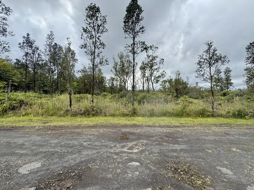 Mikana Street Mountain View HI 96771