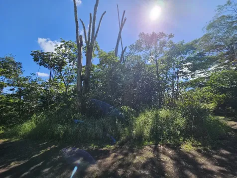 Tiki Road Kurtistown HI 96760