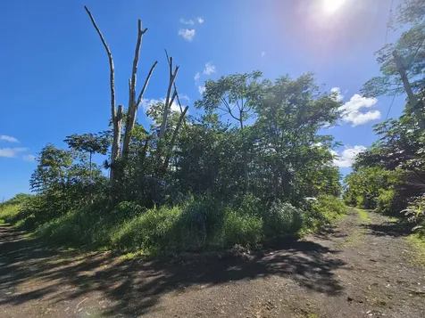 Tiki Road Kurtistown HI 96760