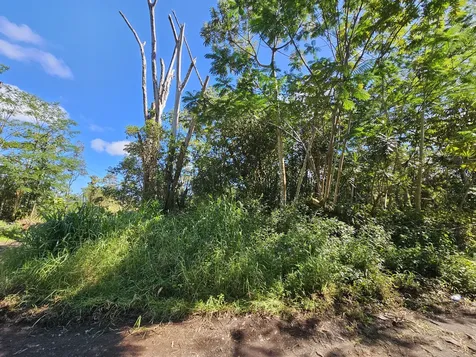 Tiki Road Kurtistown HI 96760