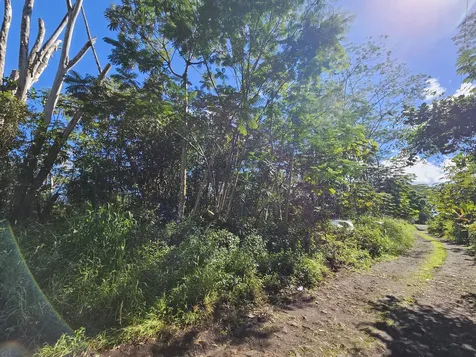 Tiki Road Kurtistown HI 96760