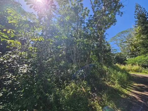 Tiki Road Kurtistown HI 96760