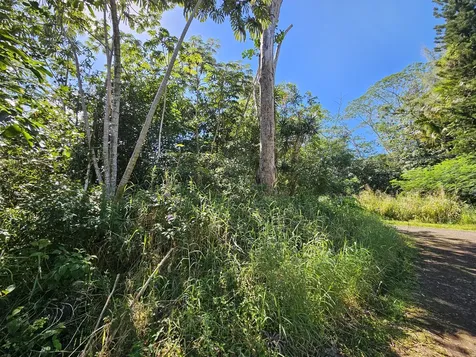 Tiki Road Kurtistown HI 96760