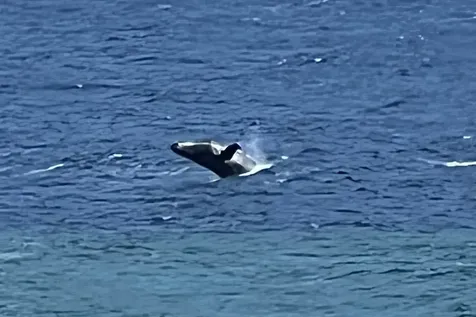 Hoolawa Road Haiku HI 96708