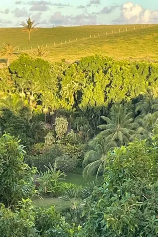 Hoolawa Road Haiku HI 96708